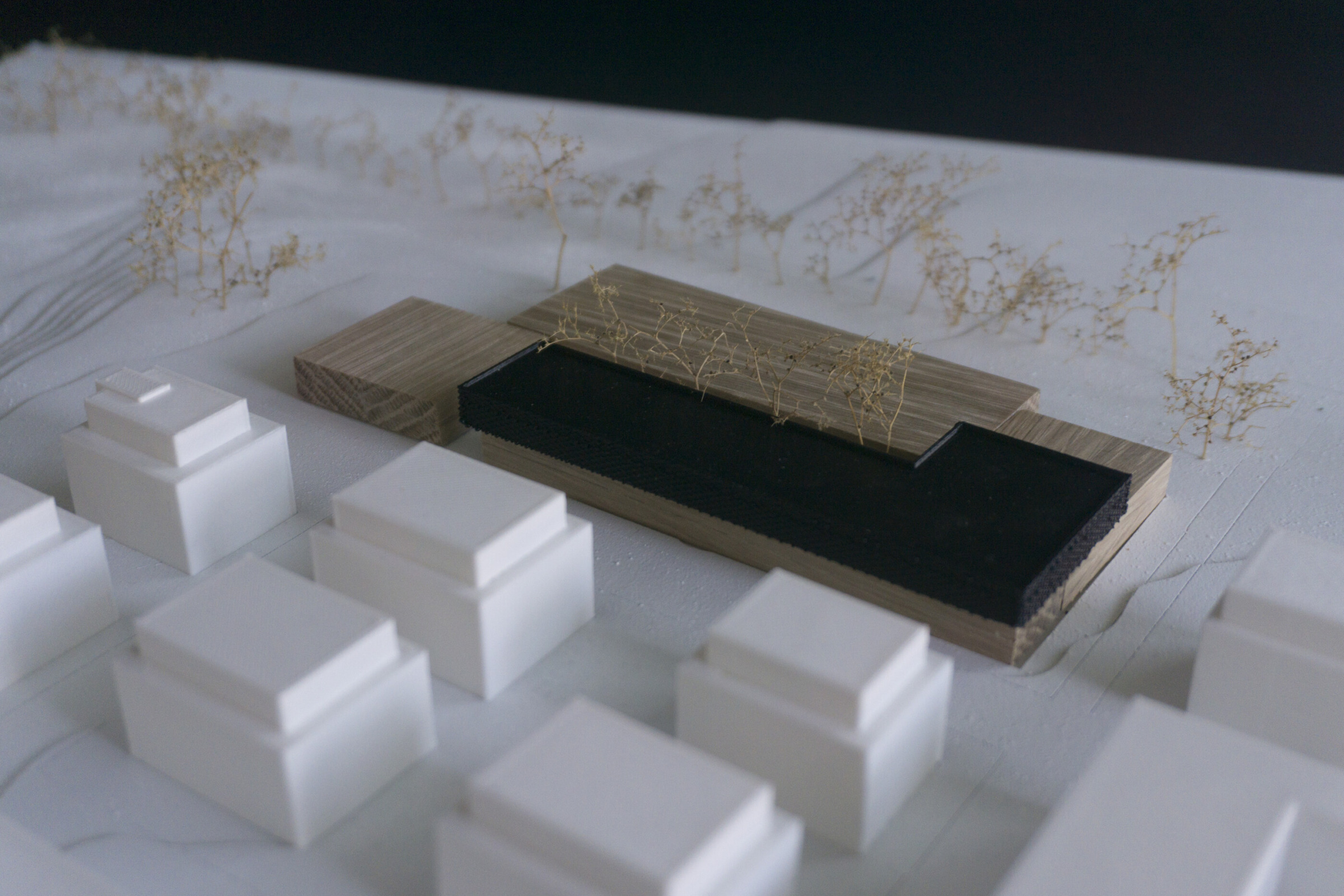 Physical site model view showing the hospice massing, park edge and surrounding urban blocks.