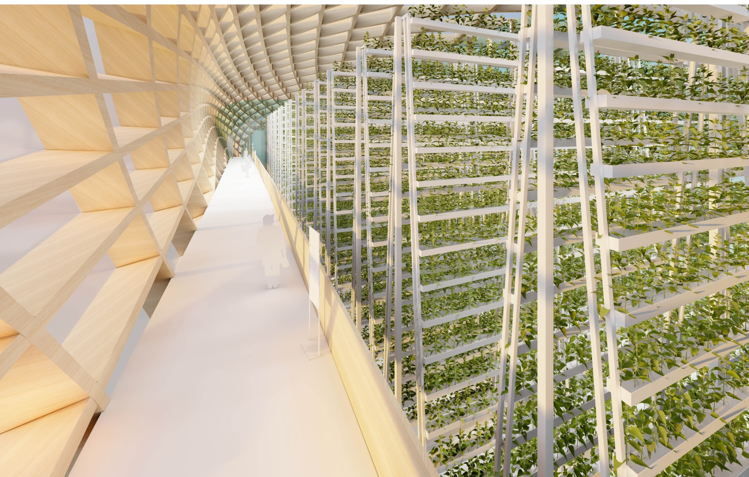 Interior perspective of the vertical farming racks and learning promenade.
